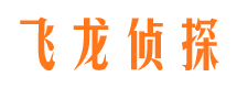 六合侦探公司